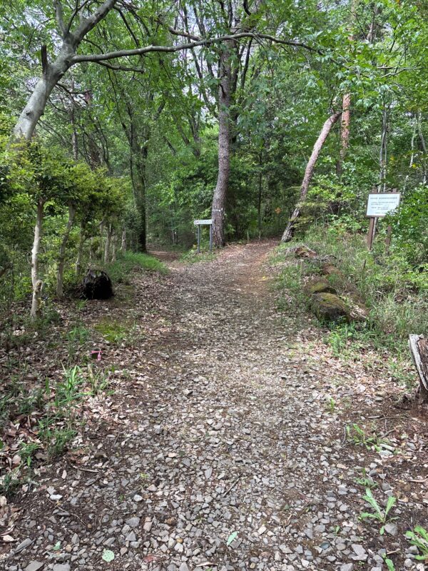 うぬまの森から明王山への登山道