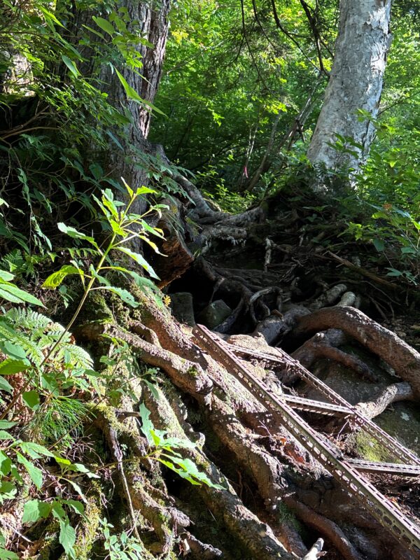 笠新道の登山道