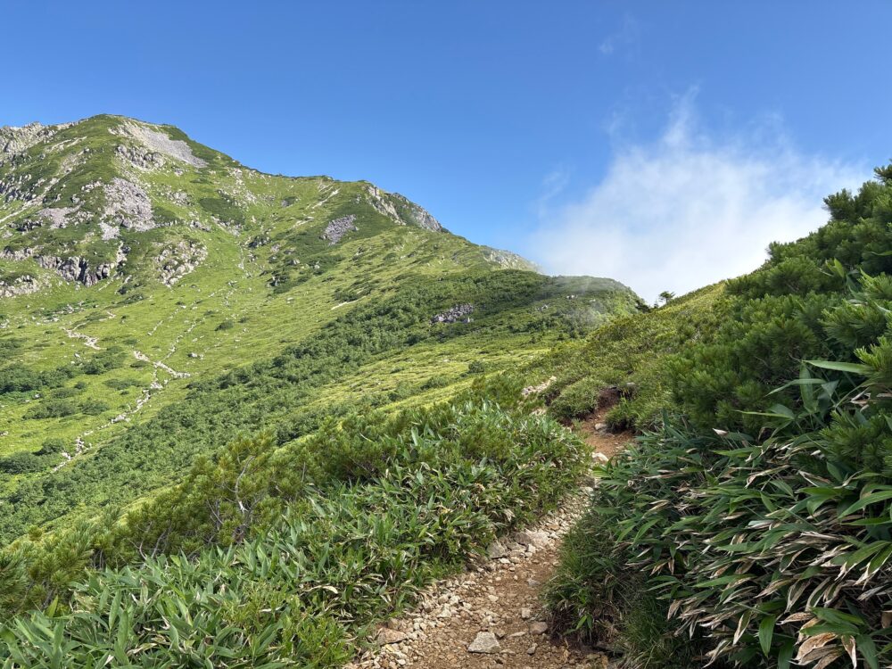 杓子平から稜線へ向かう登山道