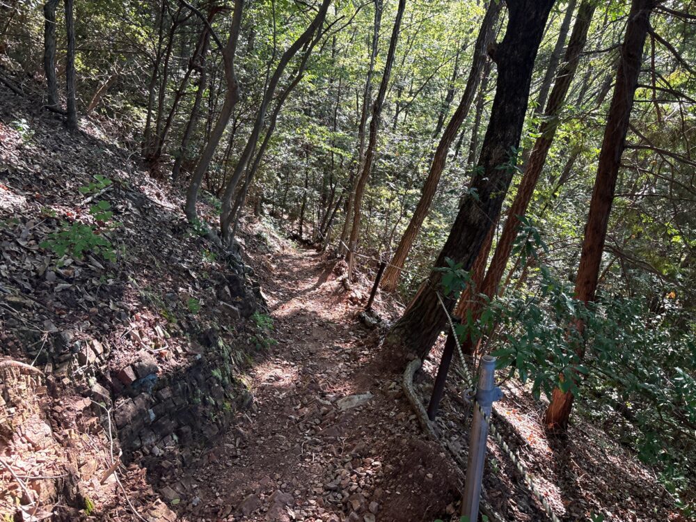 三峰山中央登山口から続く樹林帯の登山道