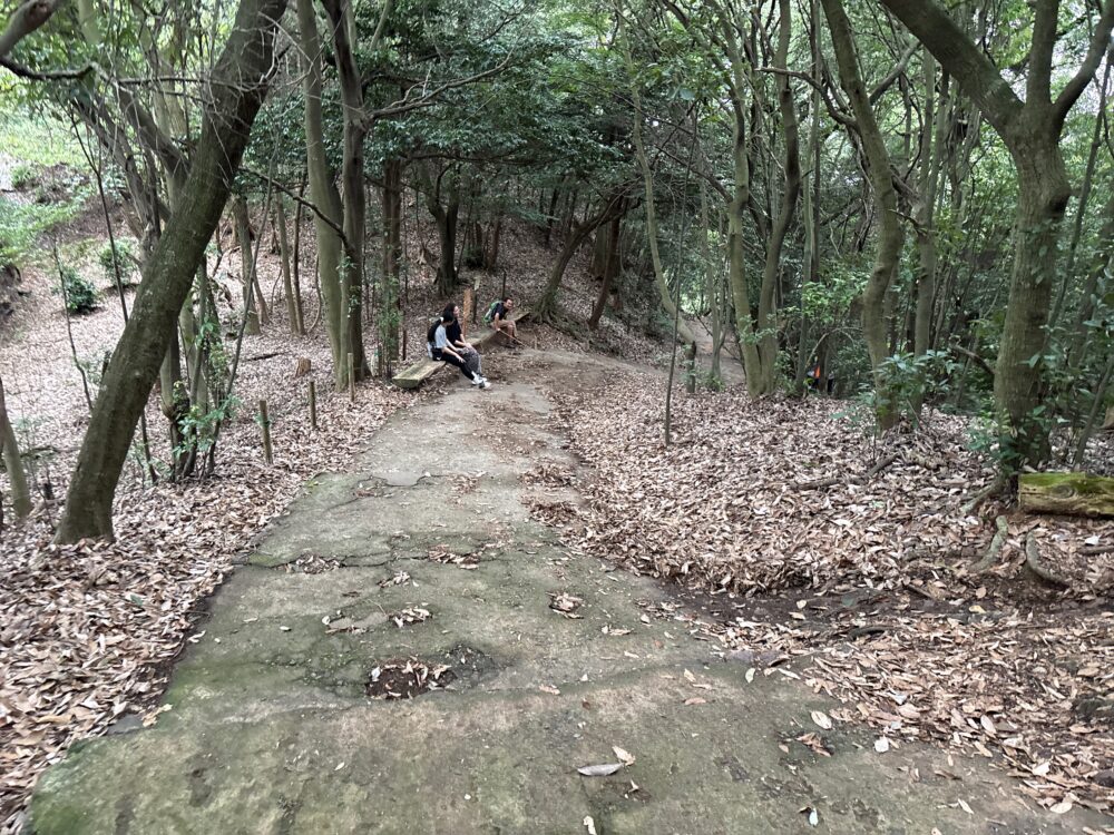 七曲り登山道の山頂付近