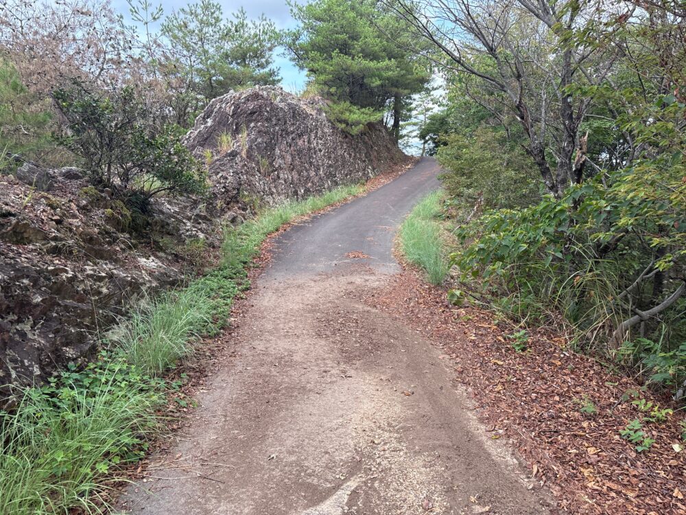 明王山から金毘羅山への登山道