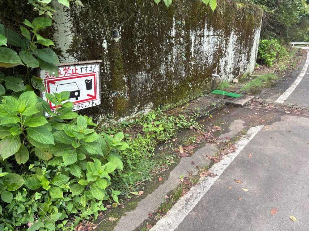 駐車場付近の水場