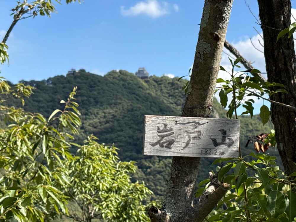 岩戸山頂上