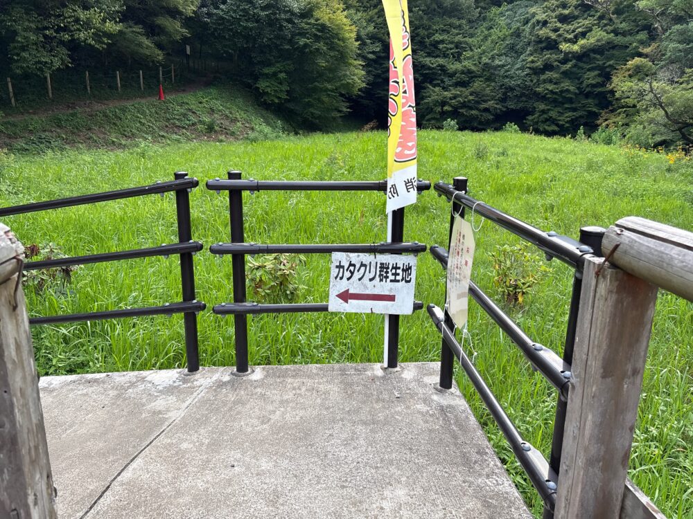 鳩吹山カタクリ群生地の案内看板