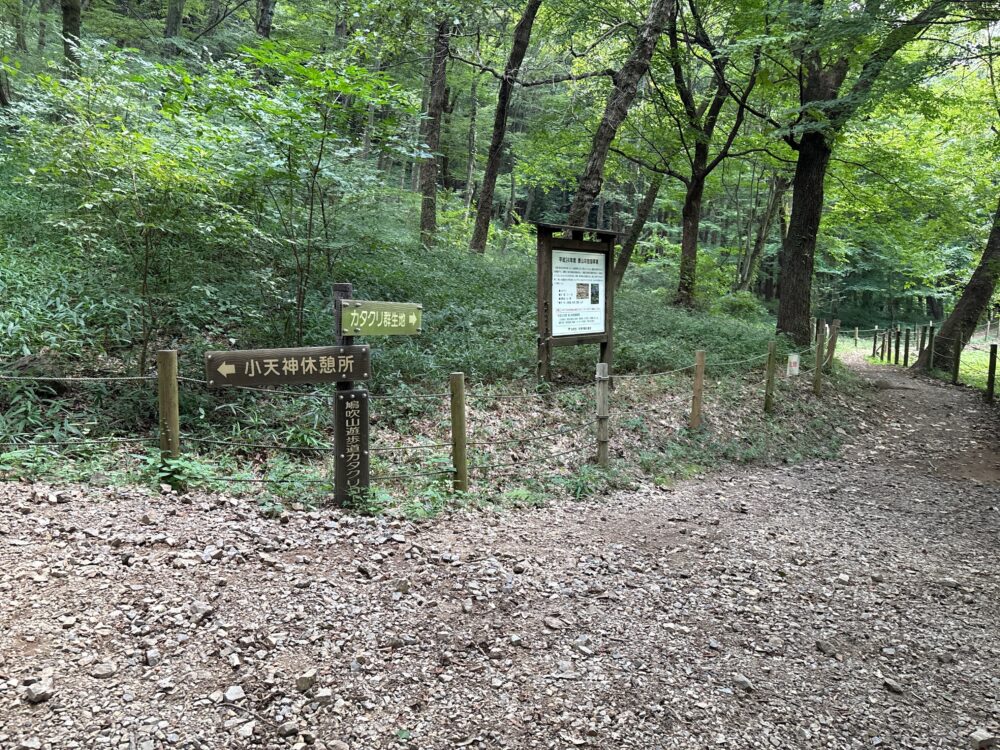 カタクリ方面と鳩吹山頂上方面の分岐