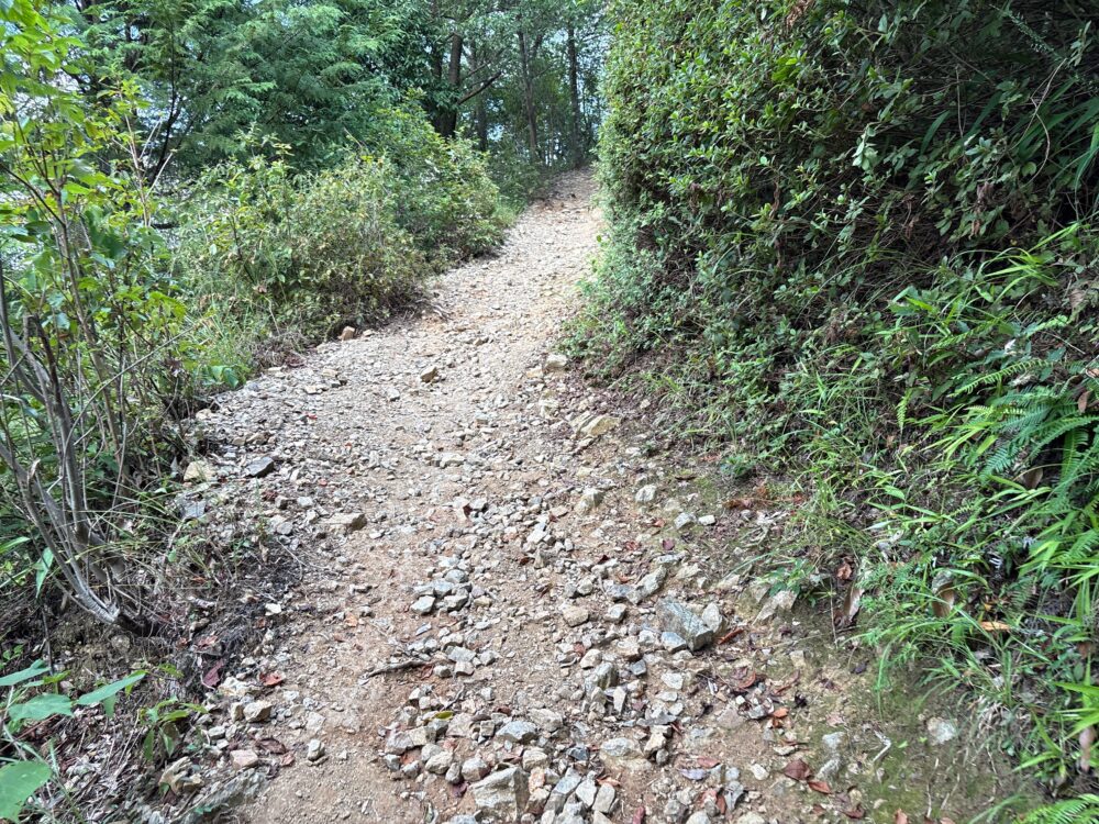 小天神休憩所までのなだらかな登山道
