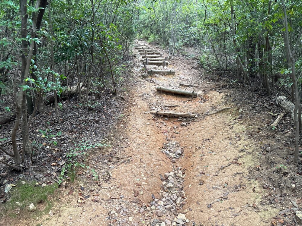 山頂手前の木の階段