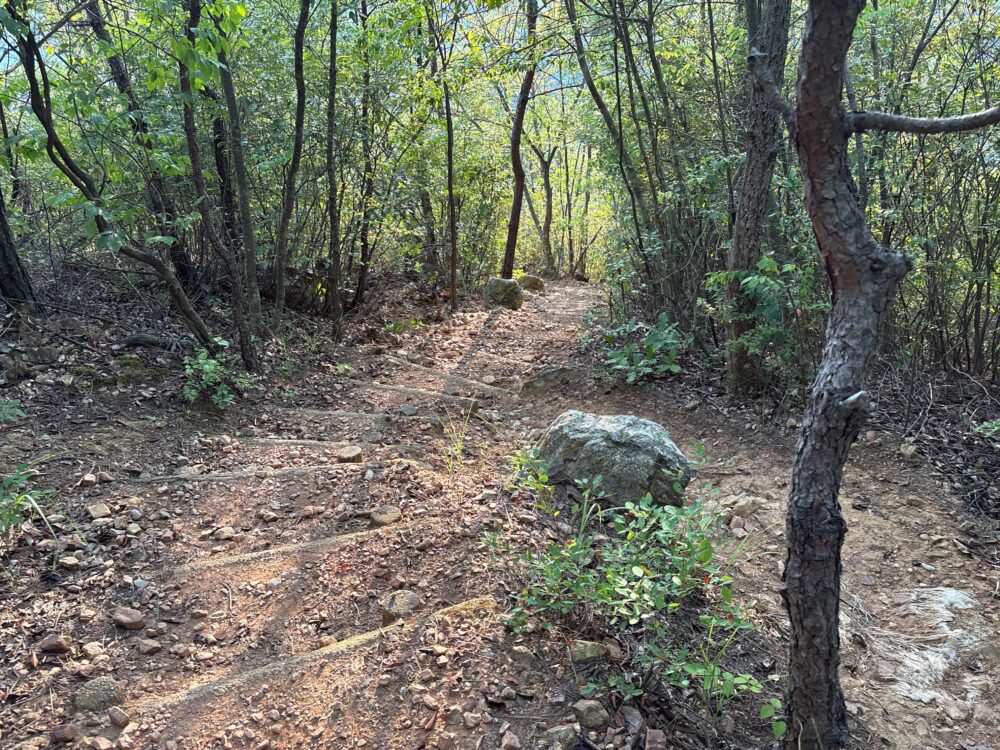 真禅寺登山口へ向かう整備された道