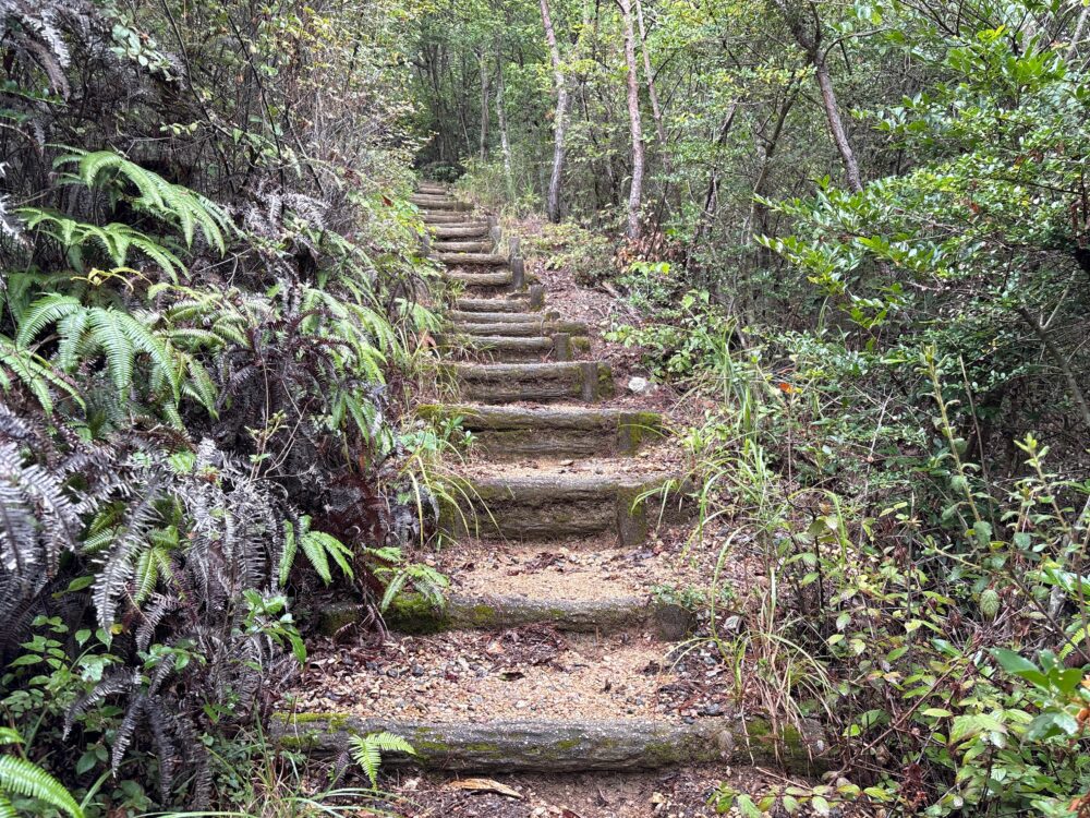 西山山頂へ向かう樹林帯の登山道