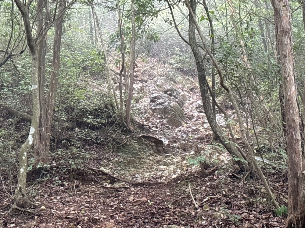 鳩吹山と西山の間にある急な岩場