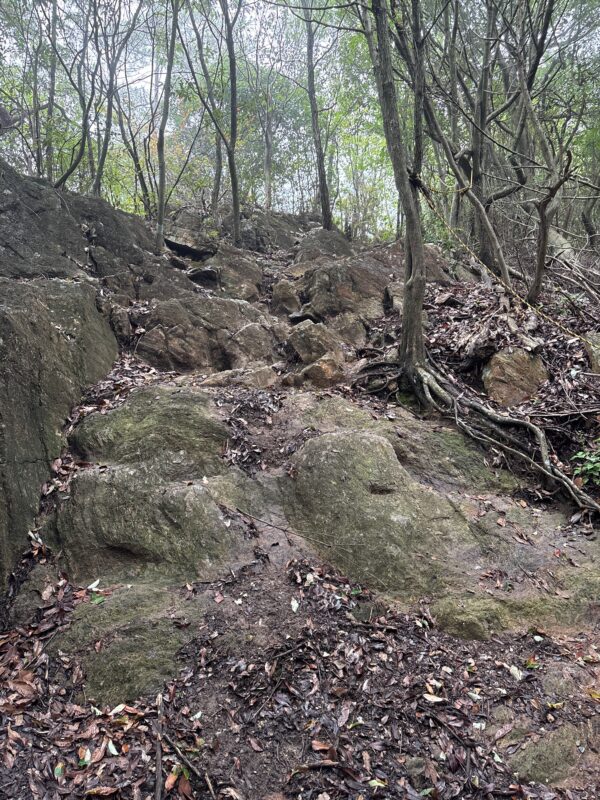 小雨で濡れた鳩吹山西山周回コースの岩場