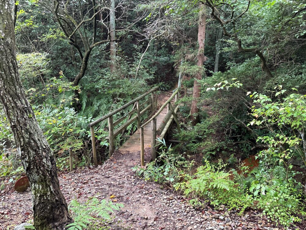 鳩吹山西山周回コース途中の木橋