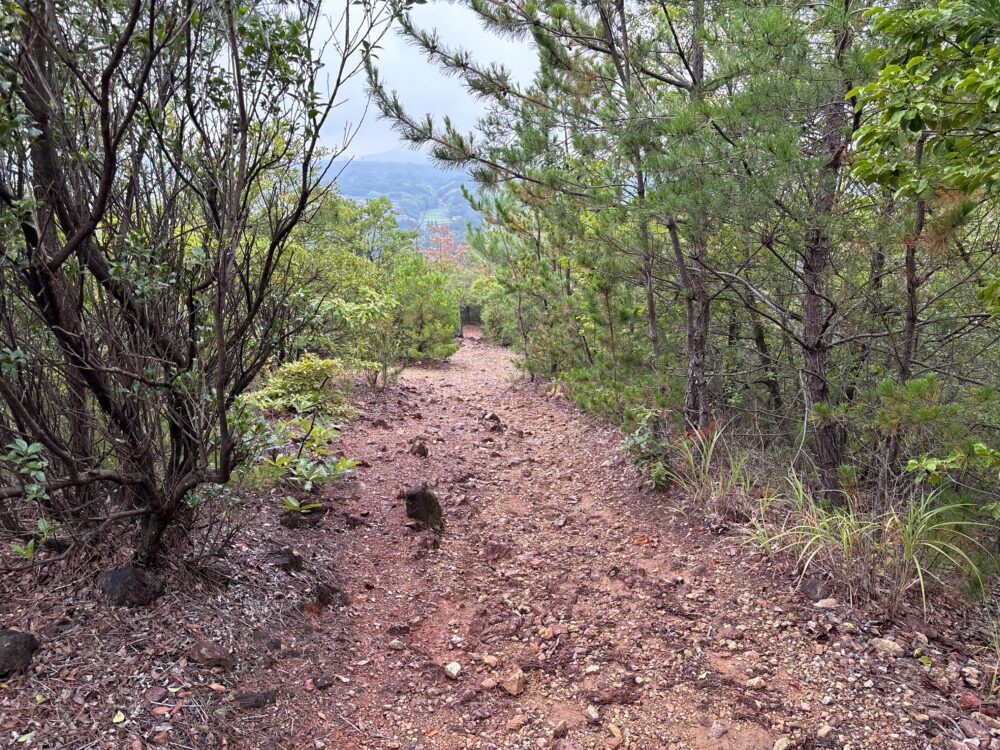 鳩吹山から真禅寺口へ下る登山道