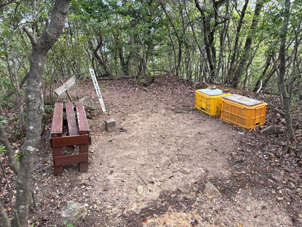 樹林に囲まれた洞山山頂