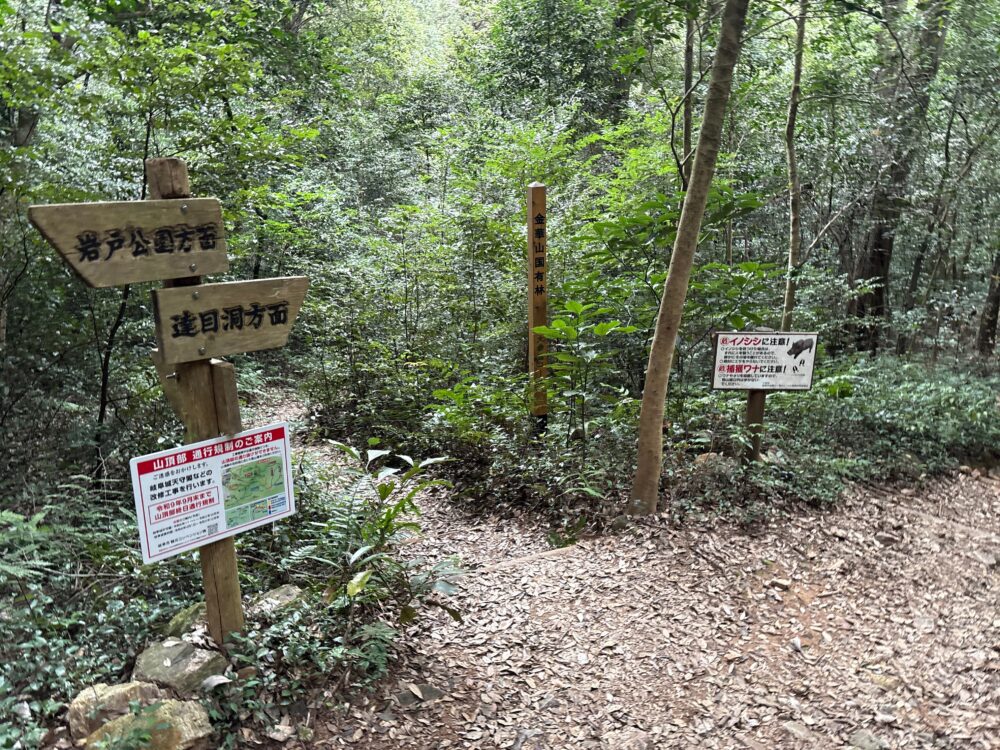 妙見峠周辺の金華山・達目洞方面の登山道案内