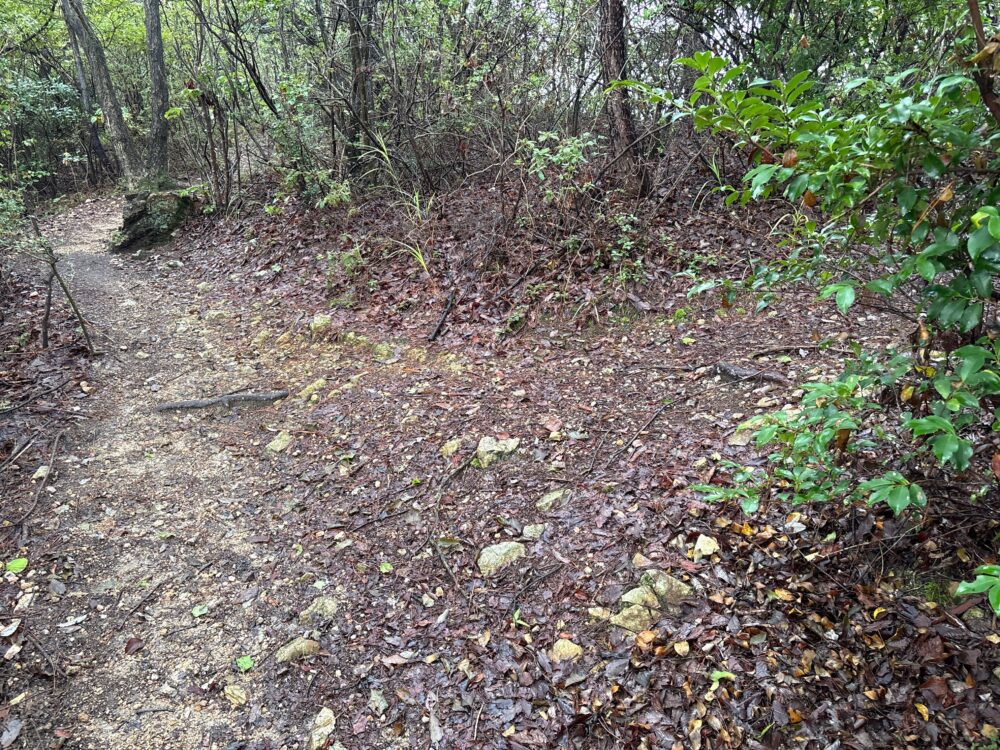 三峰山山頂付近から岩田坂方面へ向かう分岐