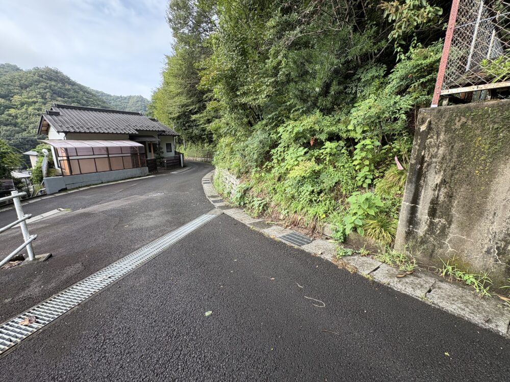 ピンクテープが目印になる分かりにくい岩田山登山口