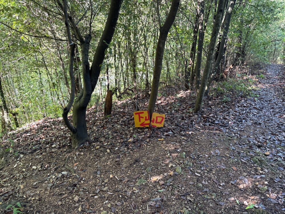 舟伏山の下山口を示す分岐