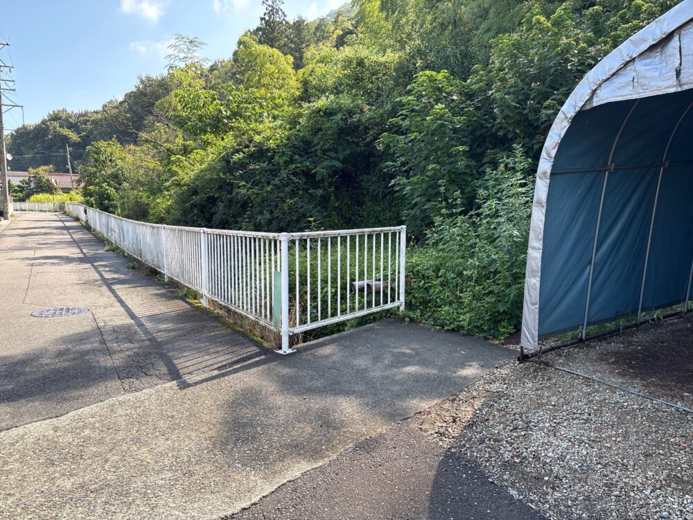 草に覆われて分かりにくかった舟伏山の別下山口