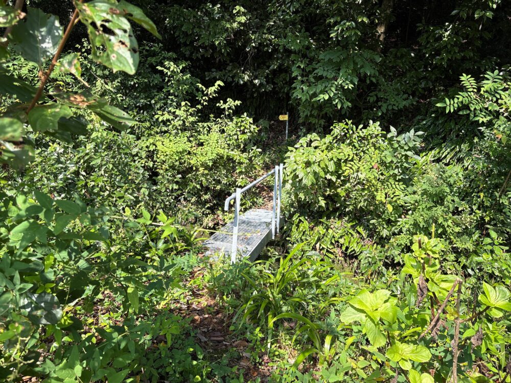 西山登山口から入った先にあるルート確認の目印となる小橋
