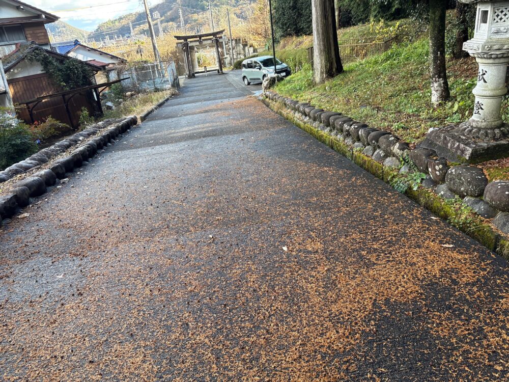 兎走山側で確認した神社の駐車場