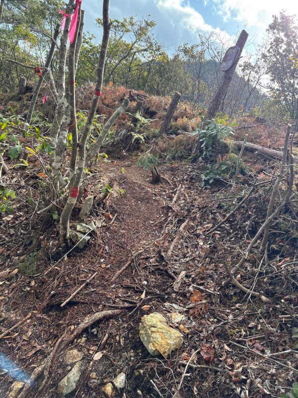 兎走山から岩田山へ向かう分岐