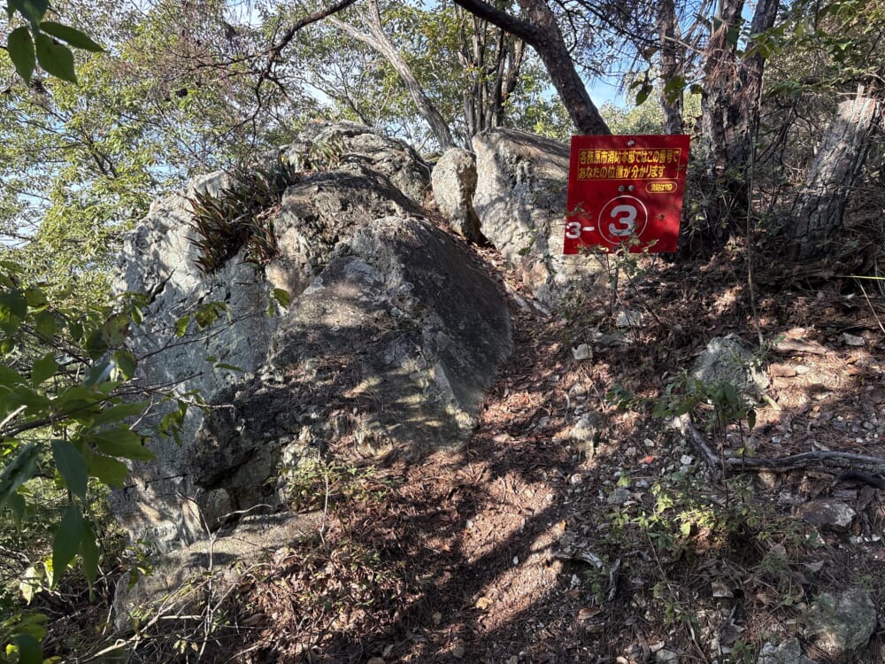 大岩山と金山周辺の岩が露出した登山道