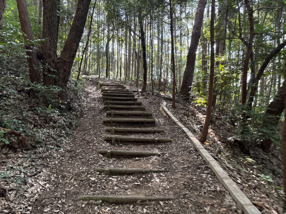 伊吹の滝から各務原権現山へ向かう序盤の急な登山道