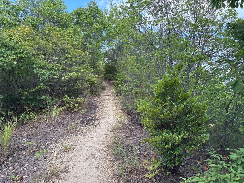 各務原権現山から北山へ向かう尾根道
