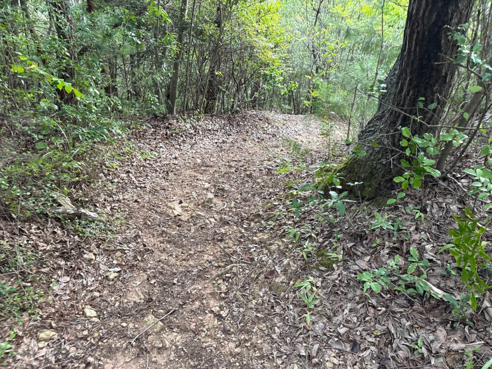 鳩吹山小天神から山頂へ向かう登山道