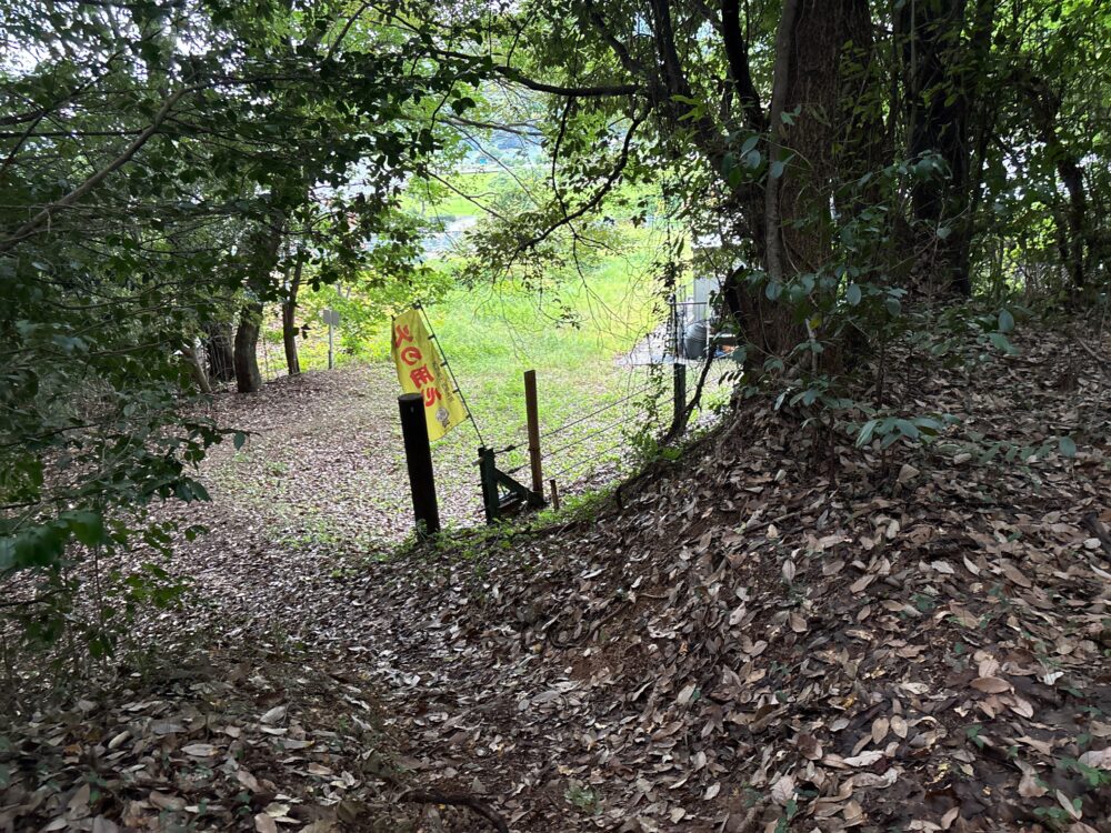 三峰山東登山口へ下る登山道