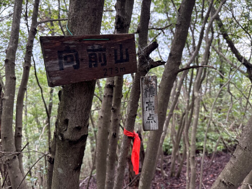 向前山213mの最高点を示す標識