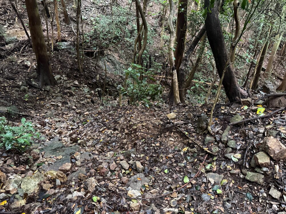 岩坂峠から岩坂トンネル方面へ下る湿った岩混じりの登山道