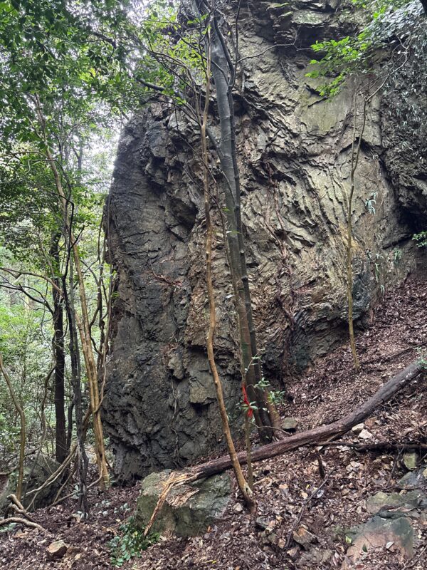 岩坂峠から岩坂トンネル方面への下山道にある大きな岩