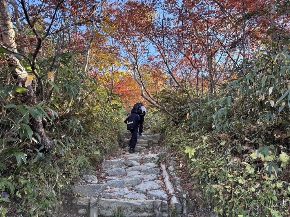 砂防新道の石段と10月の紅葉
