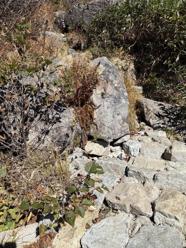 白山トンビ岩コースの岩場と石段