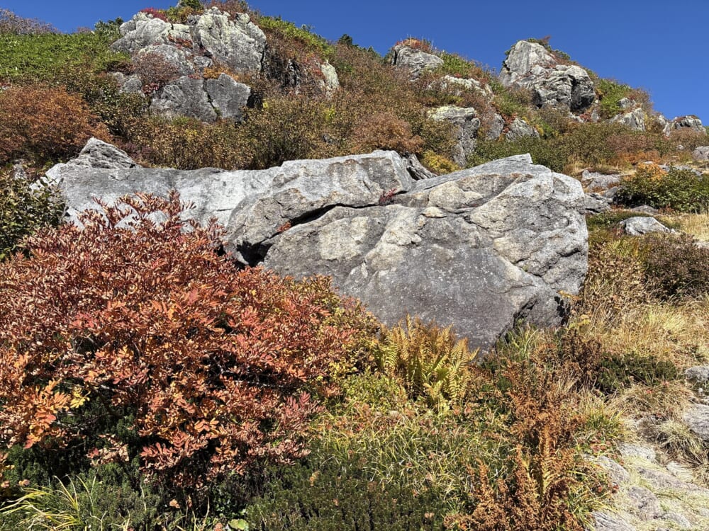 トンビ岩コースにある大岩と秋の低木