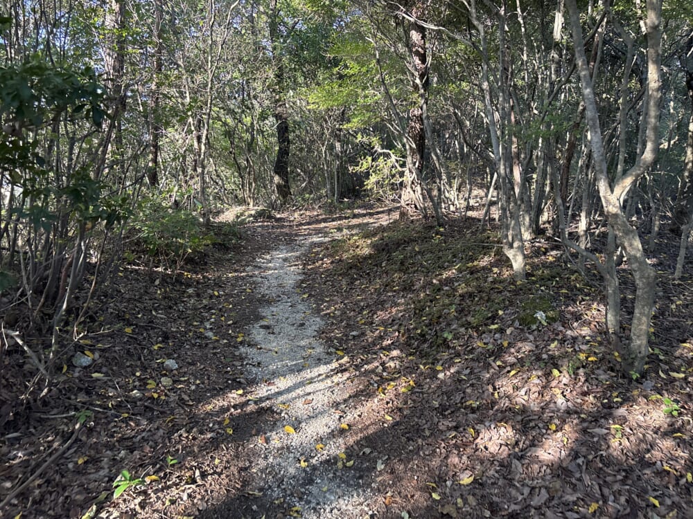 各務野自然遺産の森から大岩見晴台へ向かう平坦で歩きやすい稜線