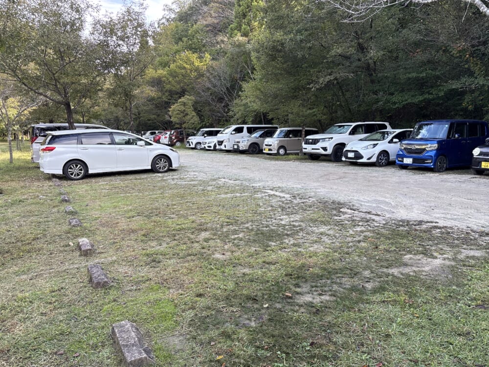 午前9時過ぎに多くの車が停まっている各務野自然遺産の森駐車場